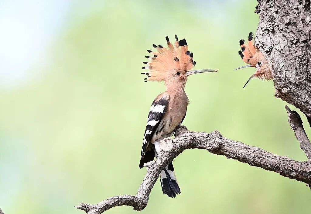 今日谷雨，讲个冷知识！