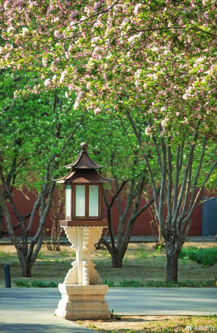 故宫春花图张张可当壁纸