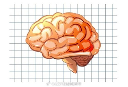 如何通过调节睡眠，保护大脑和记忆？