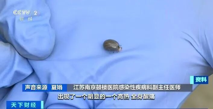 当心！又到一年高发期，身上忽然冒出这种小黑点，要尽快处理，严重可危及生命