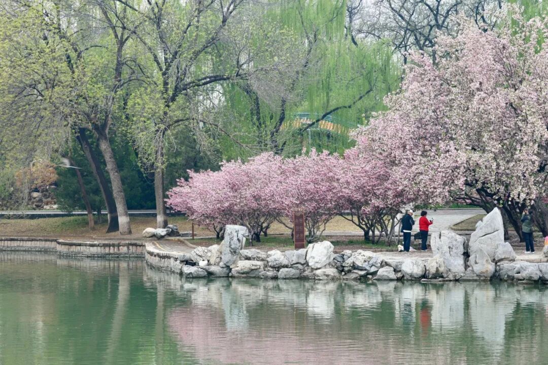 今天9时39分，我们迎来——