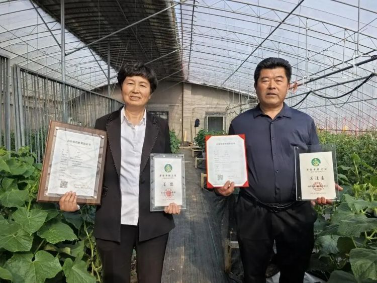 青岛这对农民夫妻火了，双双评上“正高”职称！开讲堂带领超2万名农民致富