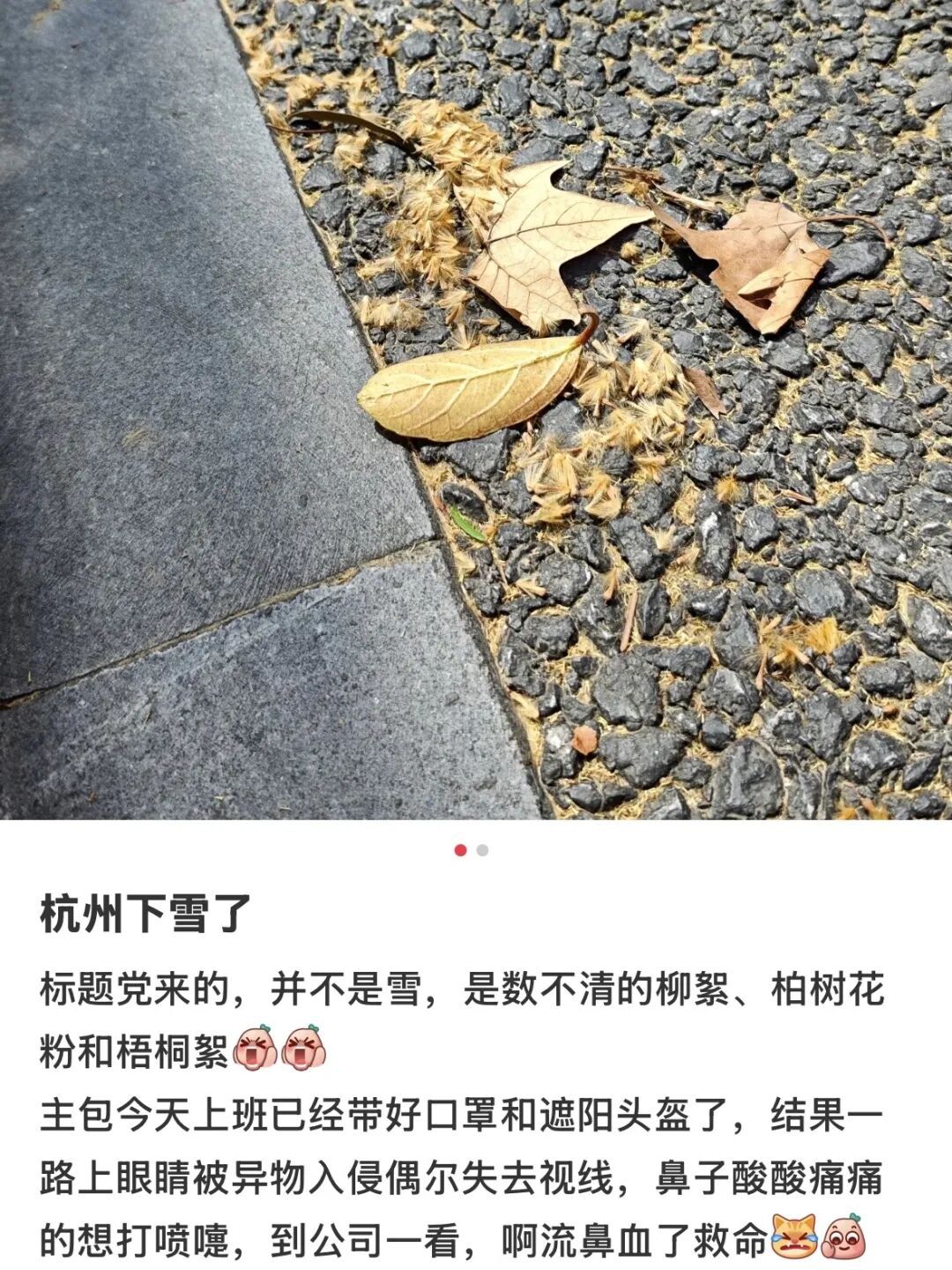 杭州男子家住景区，遇到知名男星一样的烦恼……