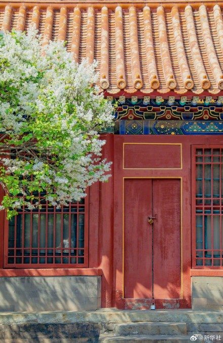 故宫春花图张张可当壁纸