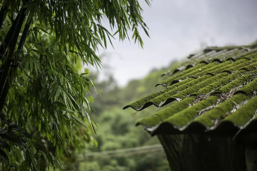 今日谷雨，讲个冷知识！