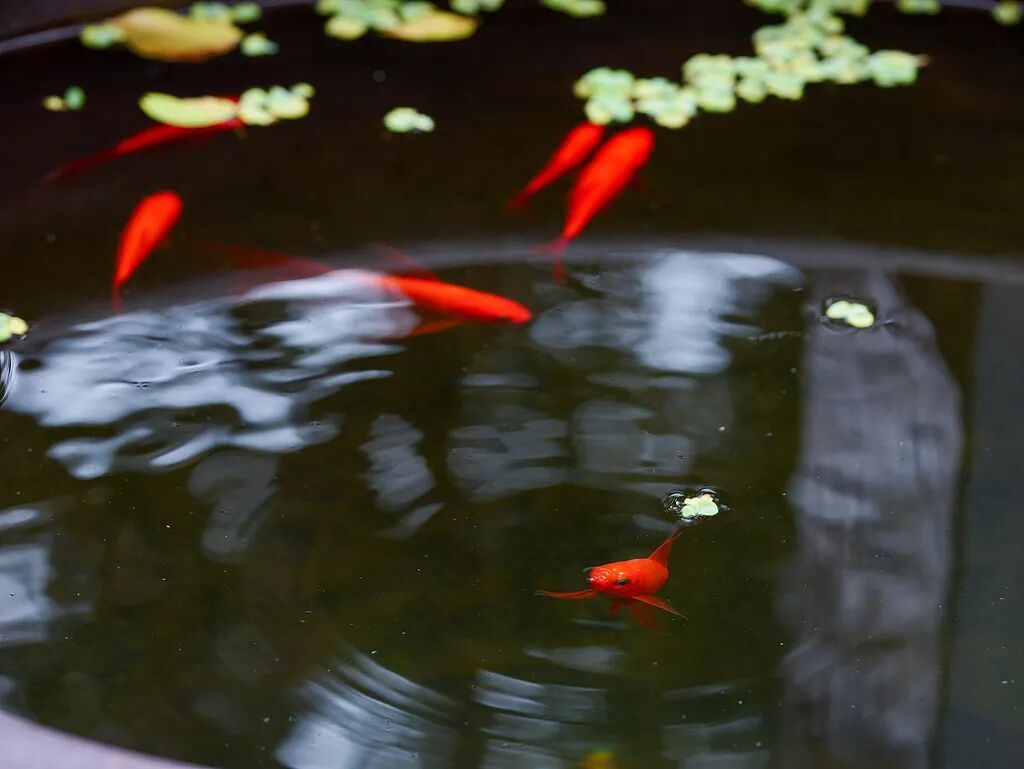 今日谷雨，讲个冷知识！