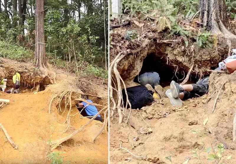 广州掀起一股“淘晶热”，林业部门回应