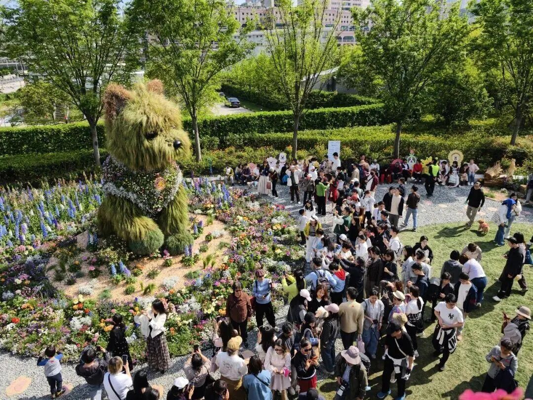 “半个上海的人都出动了”！1只西高地引爆史诗级大客流，101只西高地组团来看网红前辈