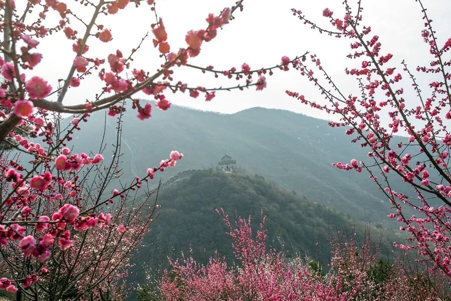 今天9时39分，我们迎来——