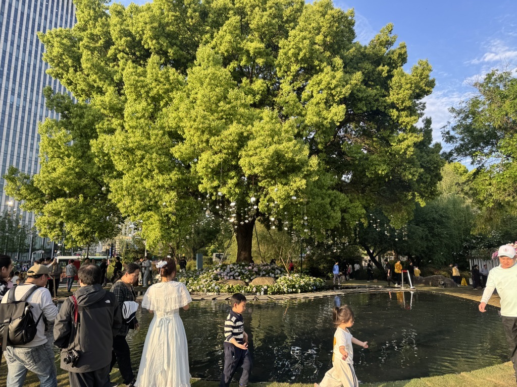 春日上海满城花海：旋转木马浪漫梦幻，云南花摊客流如织