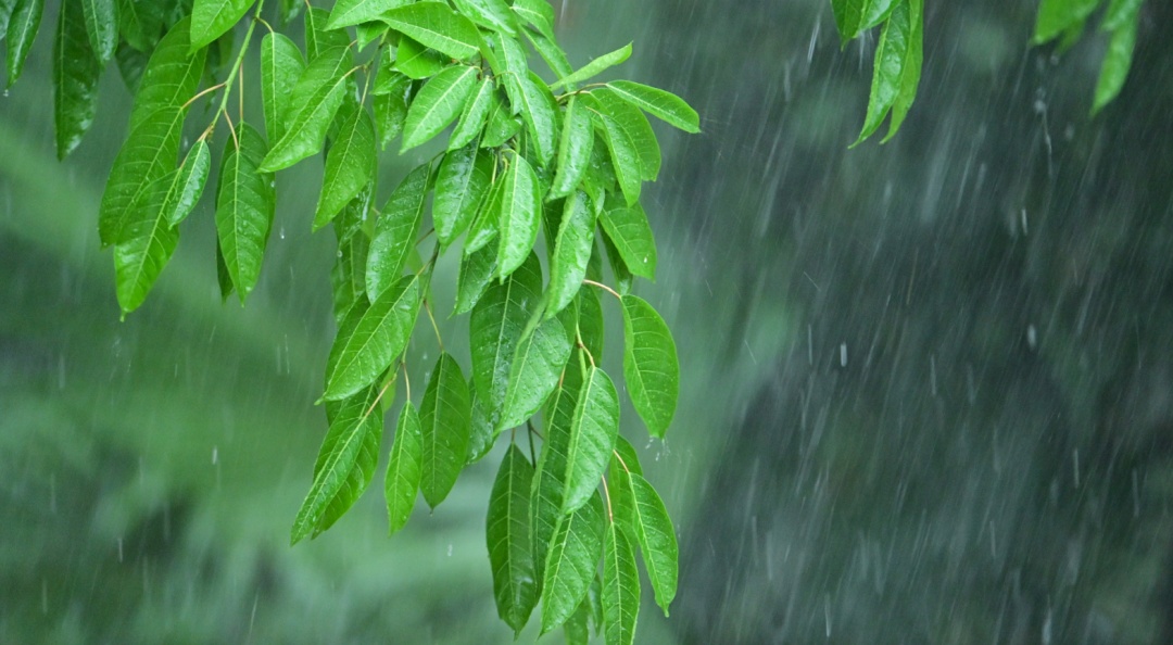 强对流天气马上到！广东暴雨+10级短时大风