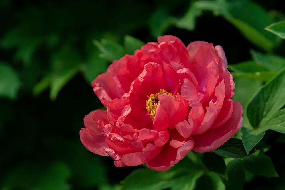 今天9时39分，我们迎来——