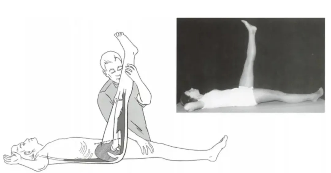 人的这几块肌肉很重要！不想老了受罪，现在练还不晚