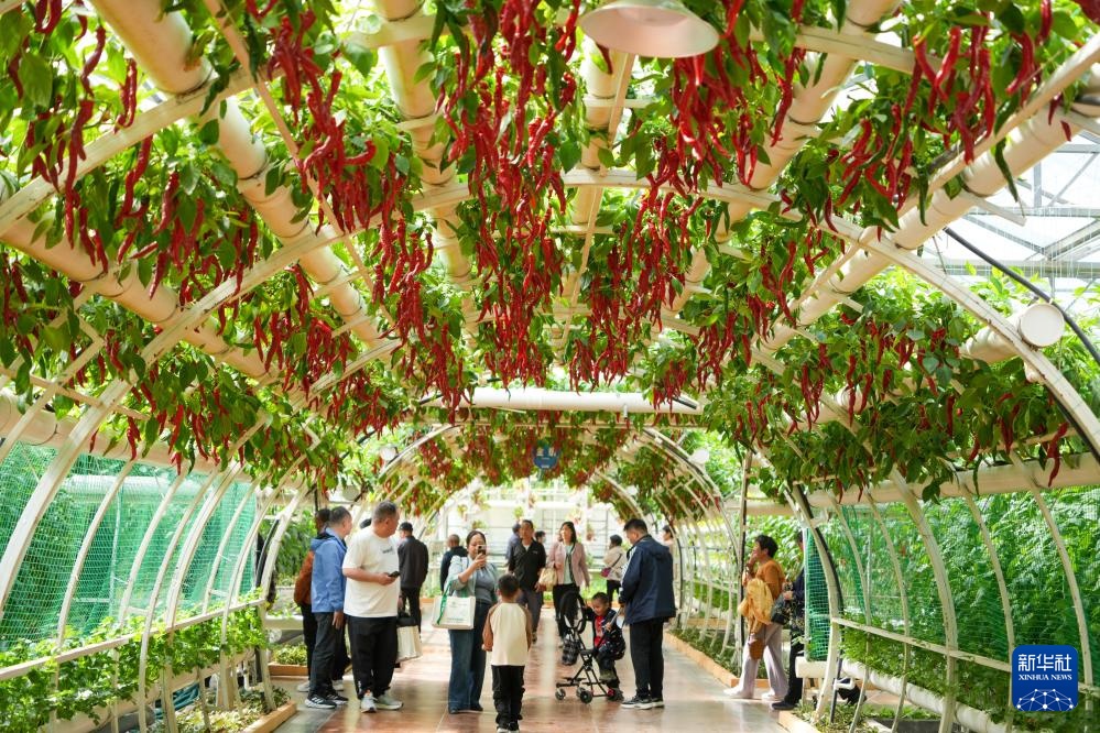 第二十七届中国（寿光）国际蔬菜科技博览会开幕