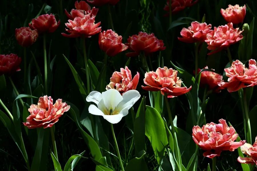 今天9时39分，我们迎来——