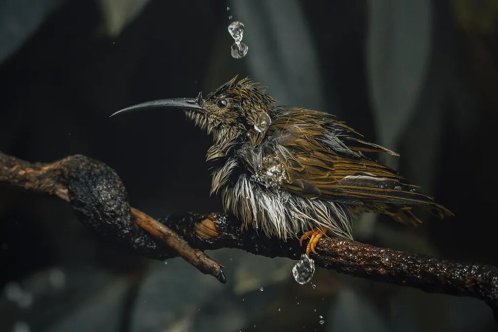 今日谷雨，讲个冷知识！