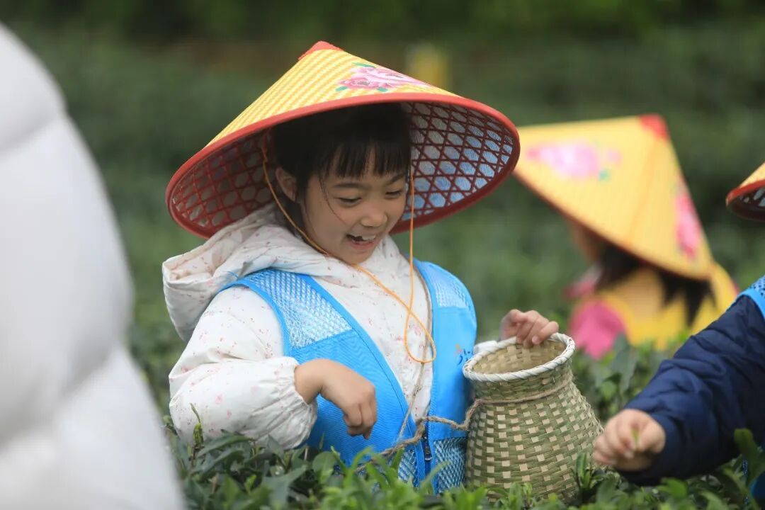 今日谷雨，讲个冷知识！
