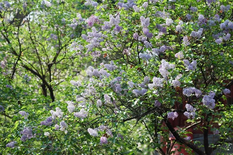 今天9时39分，我们迎来——