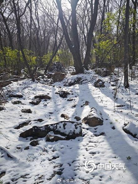 山顶覆白！辽宁本溪四月桃花雪冬春同框