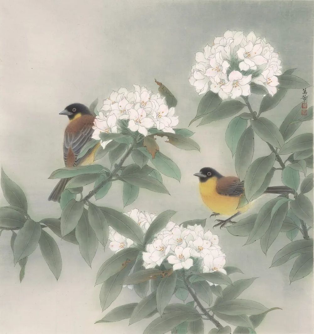 万芾“花鸟世界”中的二十四节气：谷雨