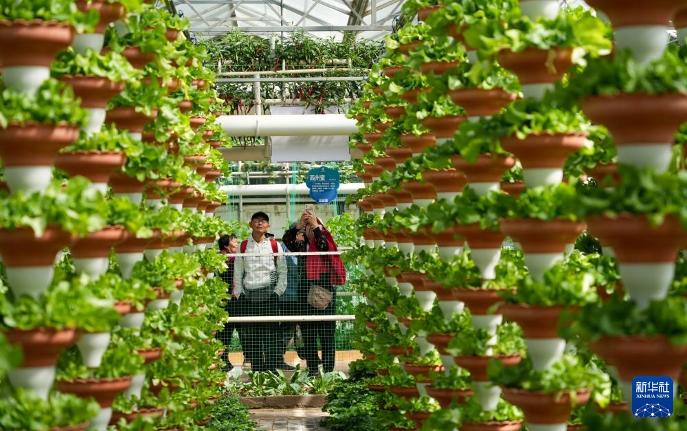 第二十七届中国（寿光）国际蔬菜科技博览会开幕