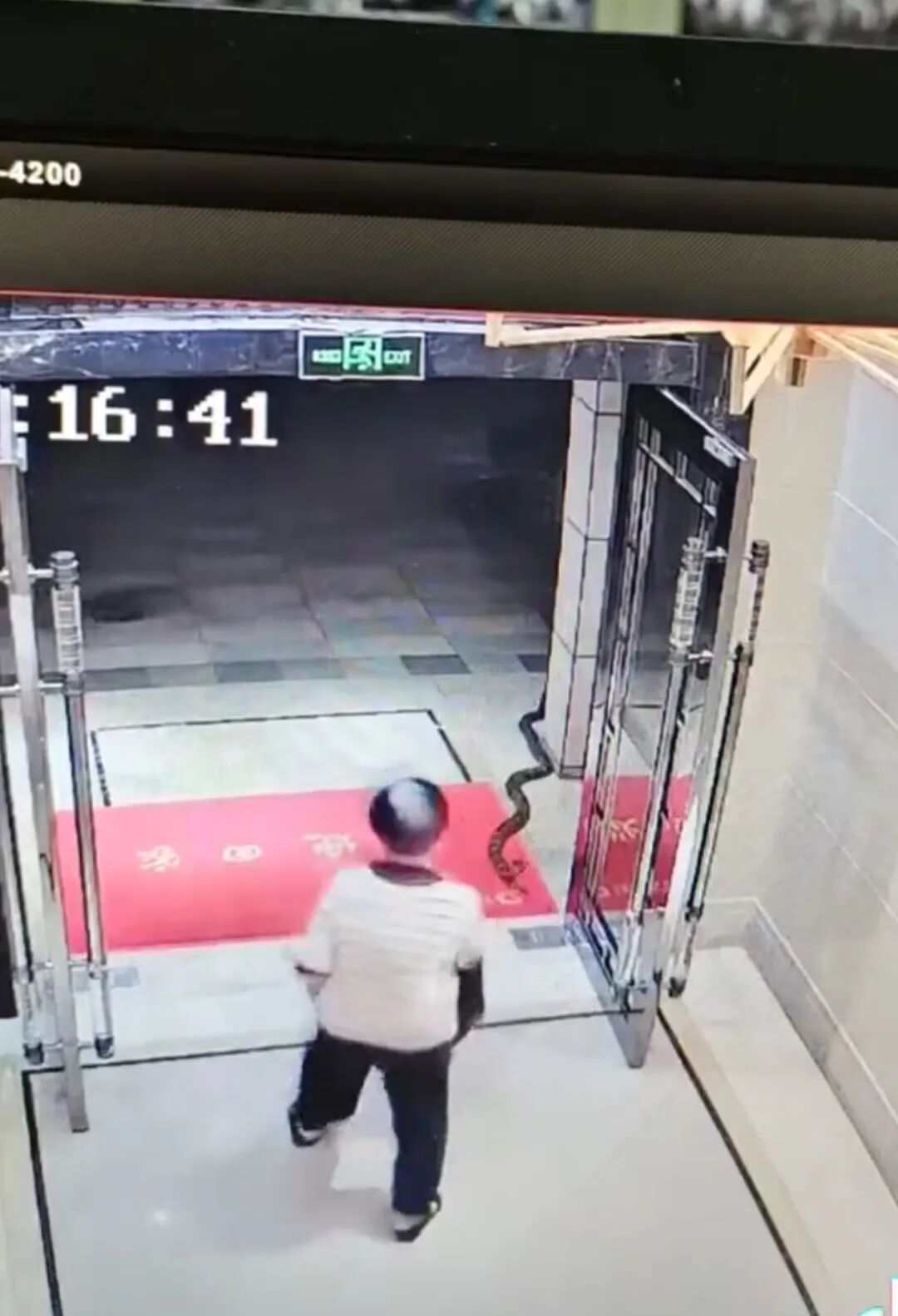 广东一居民楼门口惊现两米左右斑纹大蛇，物业：消防已抓走