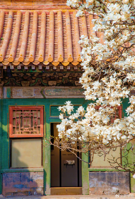 故宫春花图张张可当壁纸