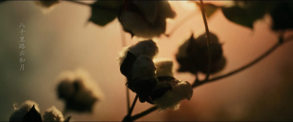 越美越残酷，《八千里路云和月》如何突破传统战争表达