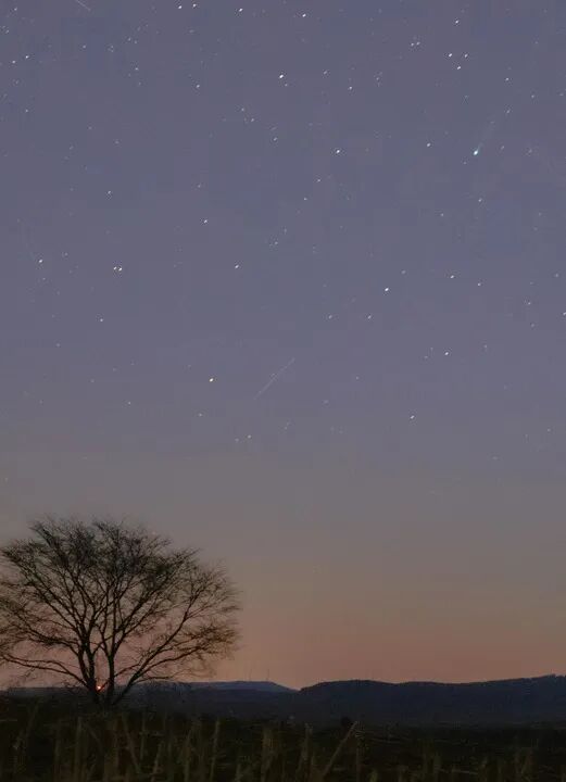 “16万年一遇”的彗星，长这样