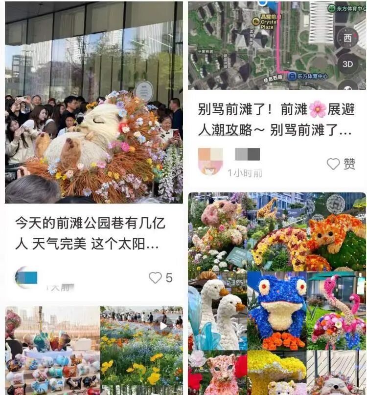 “半个上海的人都出动了”！1只西高地引爆史诗级大客流，101只西高地组团来看网红前辈