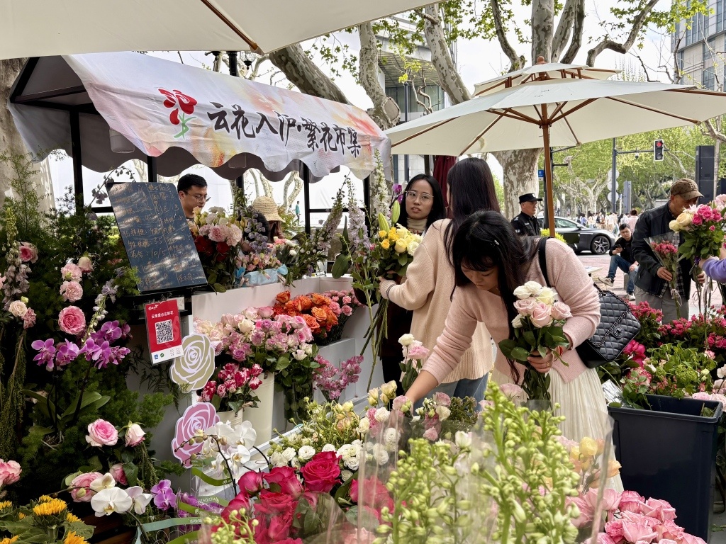春日上海满城花海：旋转木马浪漫梦幻，云南花摊客流如织