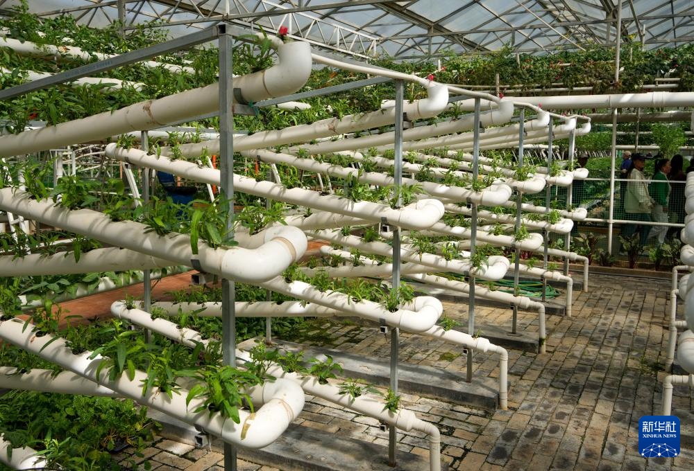 第二十七届中国（寿光）国际蔬菜科技博览会开幕