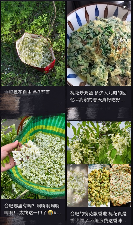 提醒！这类人慎吃槐花