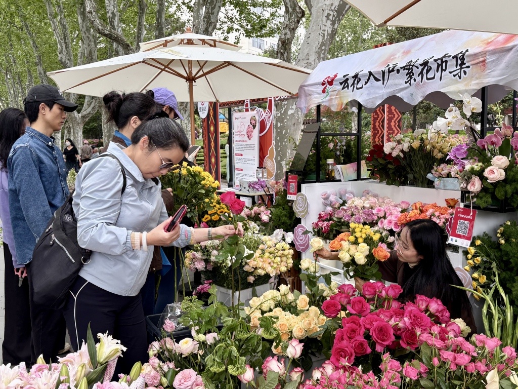 春日上海满城花海：旋转木马浪漫梦幻，云南花摊客流如织