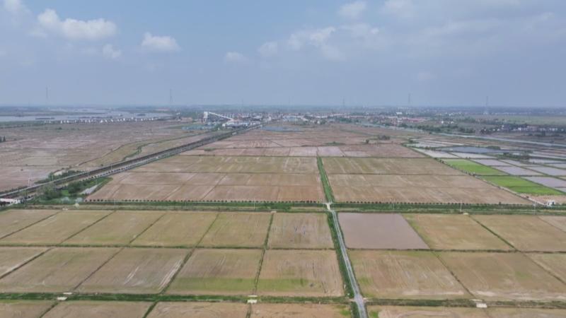 江西南昌：早稻播栽过九成 科技赋能保生产