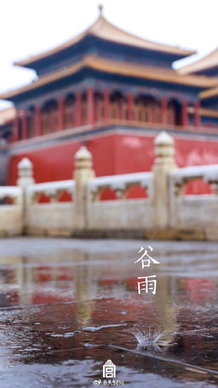 故宫谷雨壁纸意境感拉满