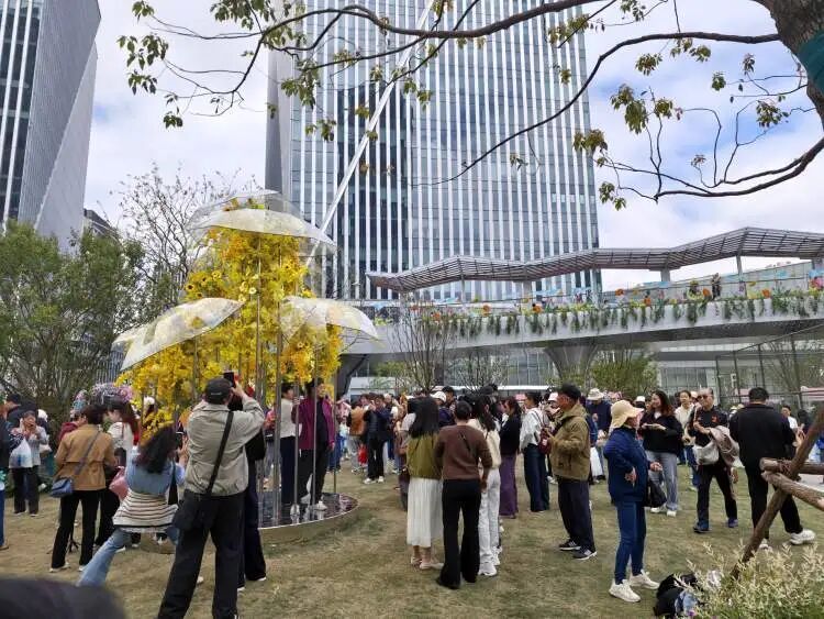 “半个上海的人都出动了”！1只西高地引爆史诗级大客流，101只西高地组团来看网红前辈