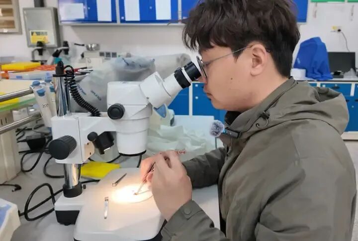 枝头“隐形花”藏早春惊喜，冰城榆树花悄然绽放！