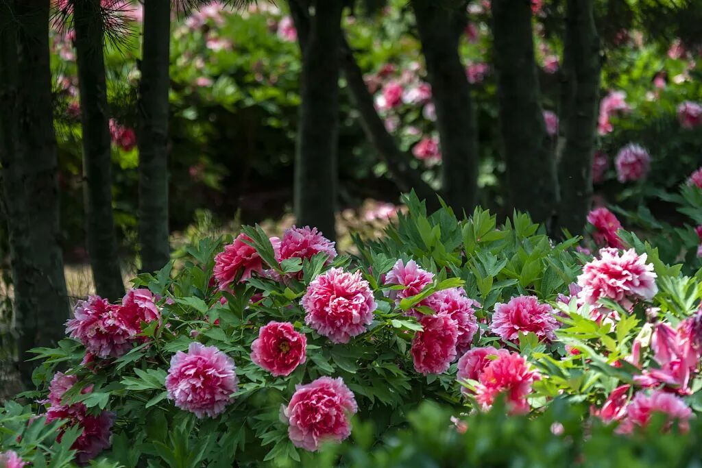 今日谷雨，讲个冷知识！