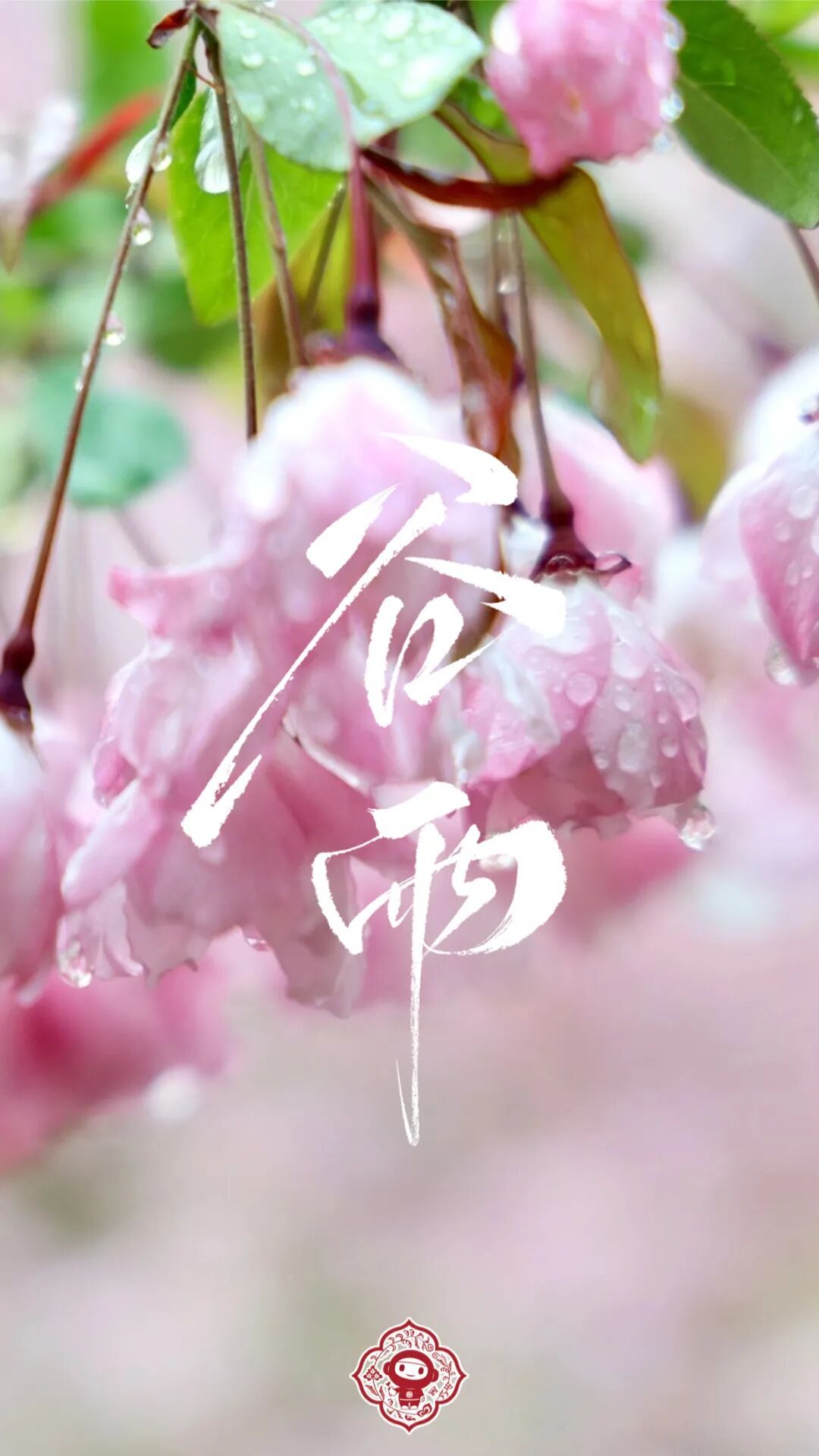 今天9时39分，我们迎来——