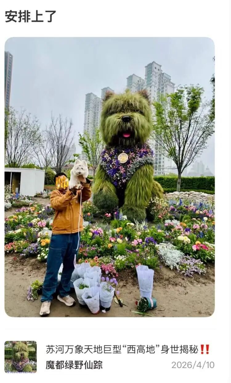 “半个上海的人都出动了”！1只西高地引爆史诗级大客流，101只西高地组团来看网红前辈