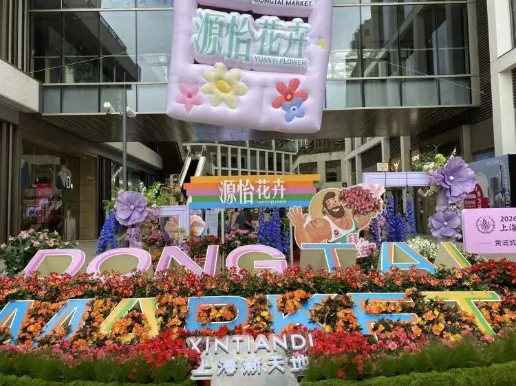 “半个上海的人都出动了”！1只西高地引爆史诗级大客流，101只西高地组团来看网红前辈