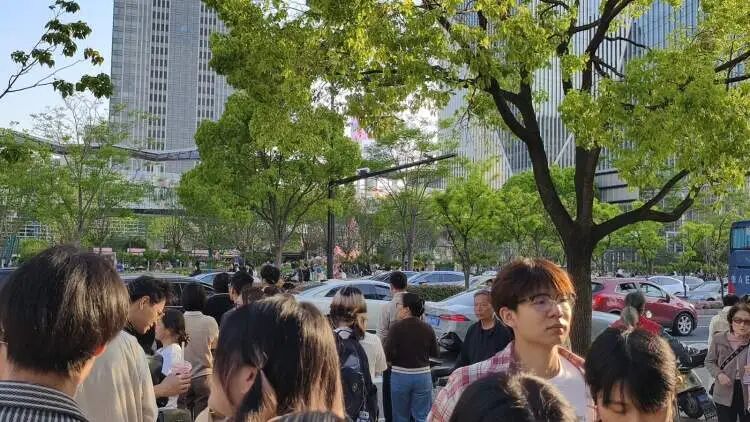 “半个上海的人都出动了”！1只西高地引爆史诗级大客流，101只西高地组团来看网红前辈