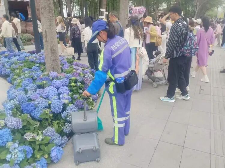 “半个上海的人都出动了”！1只西高地引爆史诗级大客流，101只西高地组团来看网红前辈