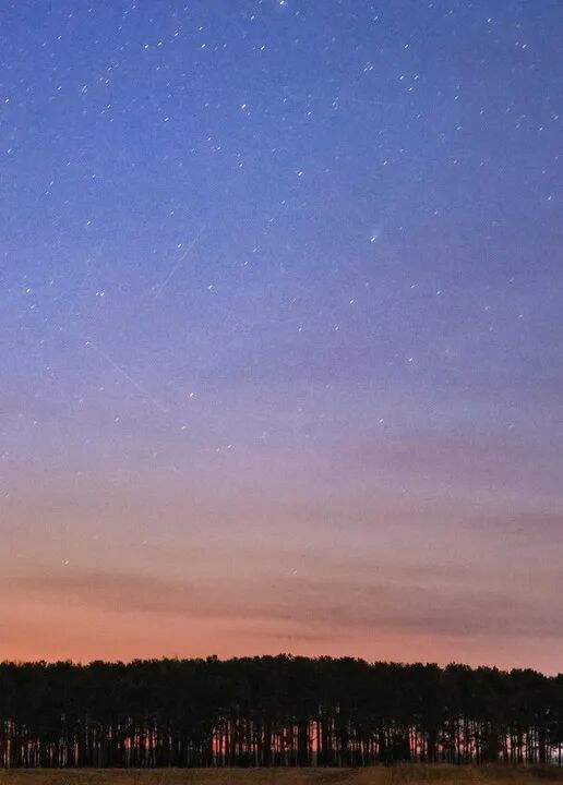 “16万年一遇”的彗星，长这样