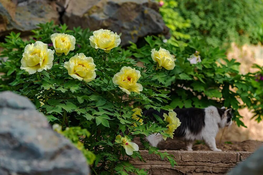 今天9时39分，我们迎来——