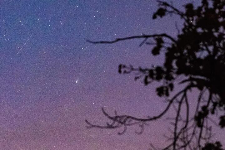 “16万年一遇”的彗星，长这样