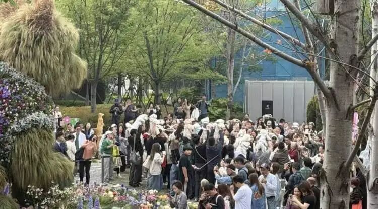 “半个上海的人都出动了”！1只西高地引爆史诗级大客流，101只西高地组团来看网红前辈