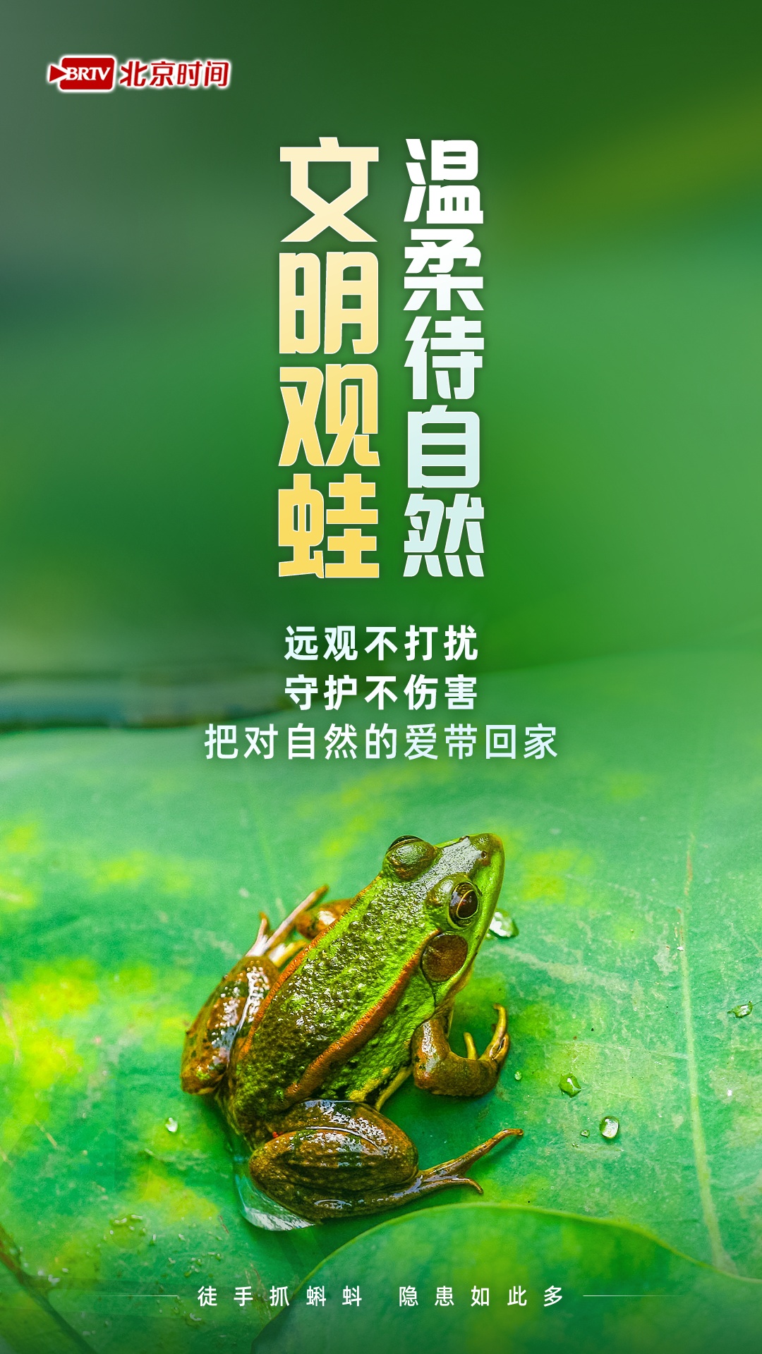 不捞不碰不带走！带娃徒手捞蝌蚪，竟有这么多健康风险