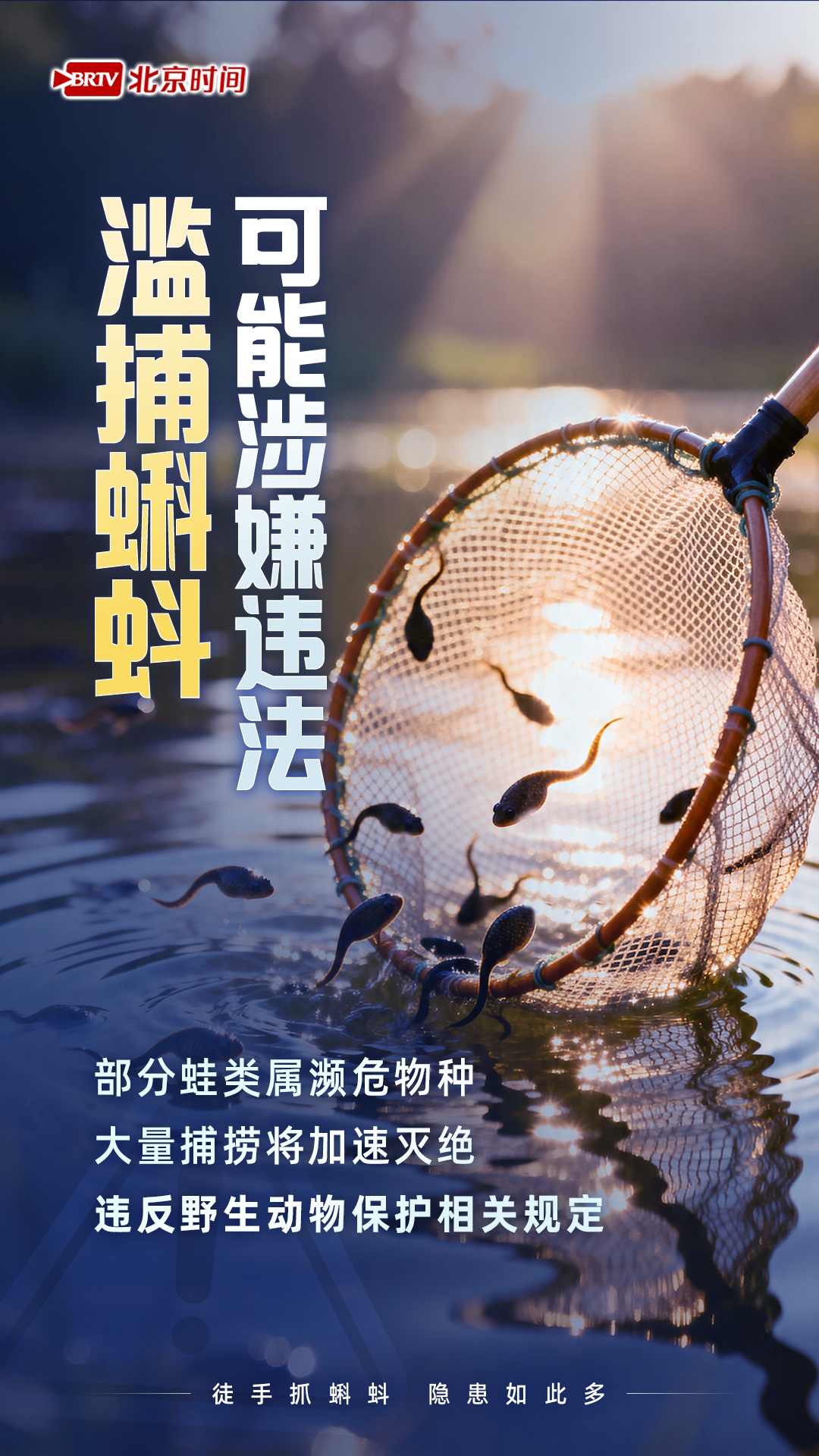 不捞不碰不带走！带娃徒手捞蝌蚪，竟有这么多健康风险